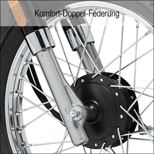 E-scooter "Turin" 45 km/h including 32 Ah lithium battery black/white