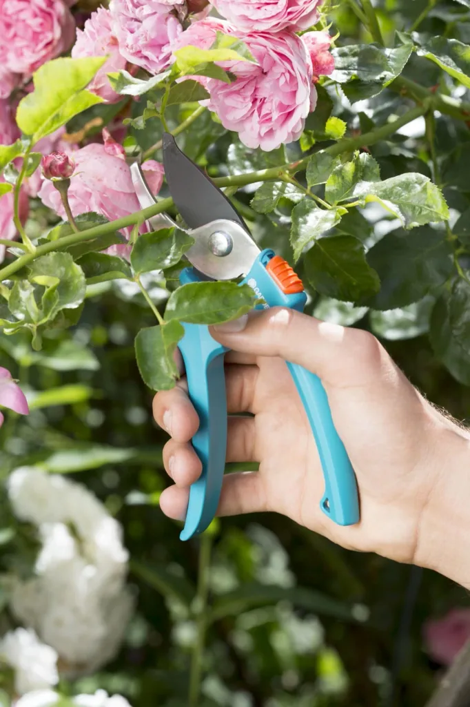 Classic bypass pruning shears, maximum cutting thickness 18 mm