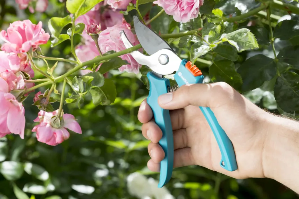 Classic bypass pruning shears, maximum cutting thickness 18 mm