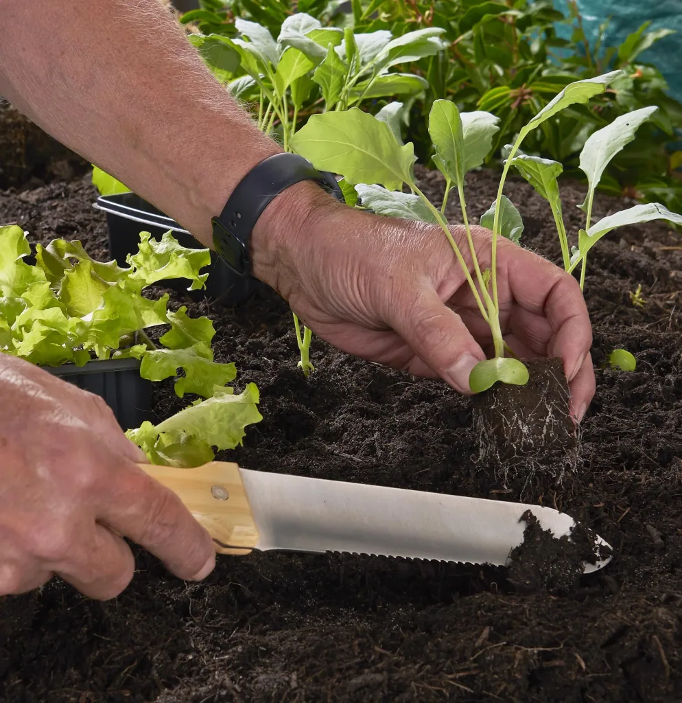 Hori Hori Gartenmesser