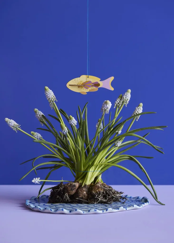 Studio ROOF Ornament, knutselpakket, 3D wandobject - Vis