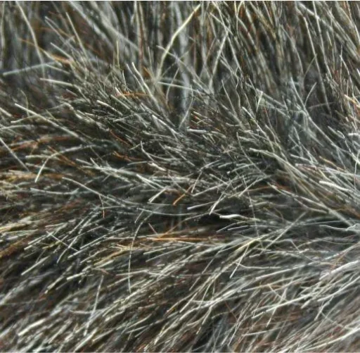 Goat hair dust broom with telescopic handle