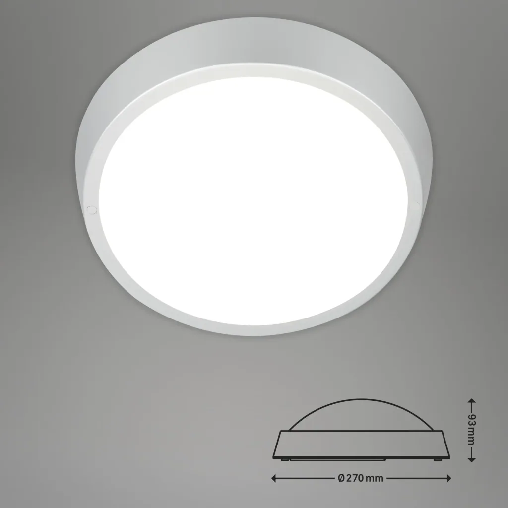 HAGEN LED outdoor light, wall and ceiling light, silver, IP44, 24 watts, 2,160 lm, 4,000 K