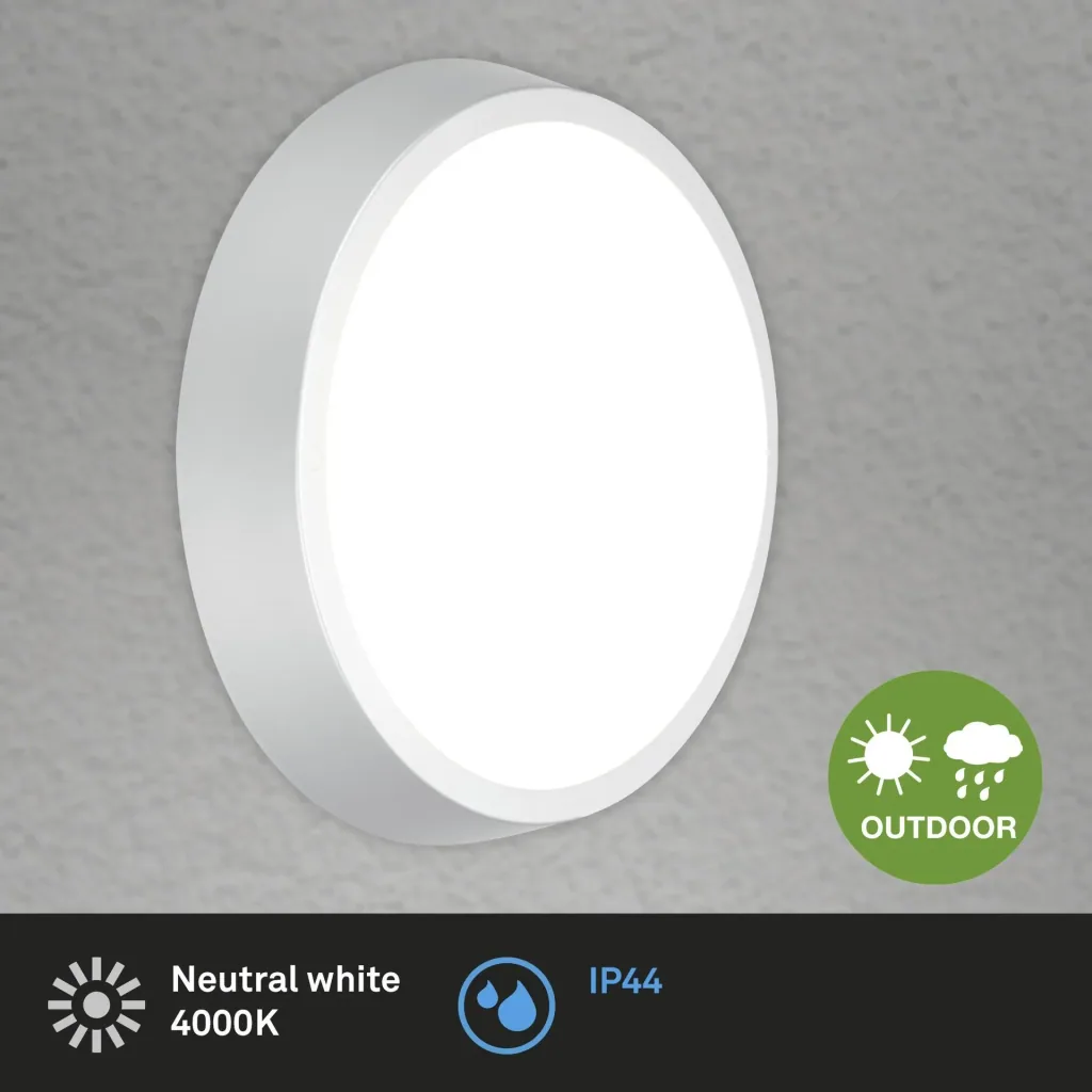 HAGEN LED outdoor light, wall and ceiling light, silver, IP44, 24 watts, 2,160 lm, 4,000 K