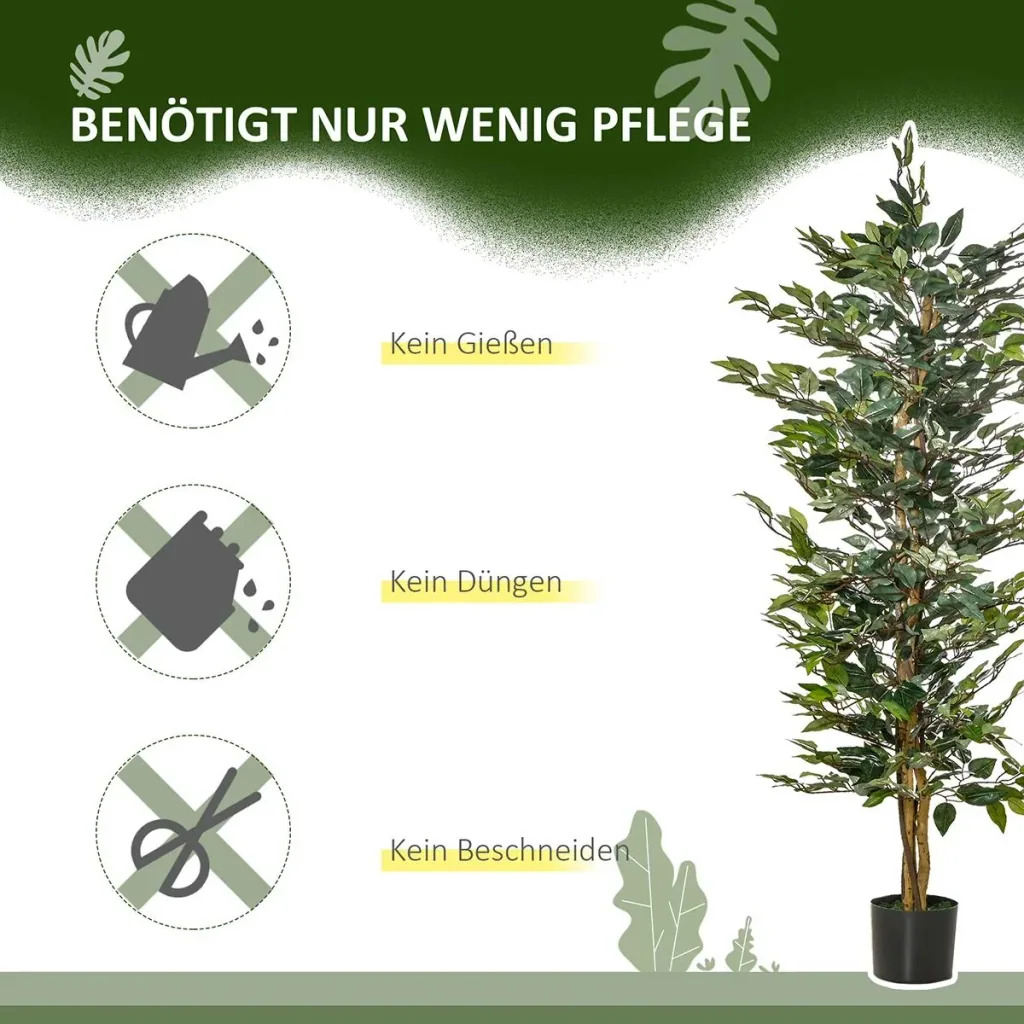 Cherry laurel, Prunus laurocerasus "Caucasica," for a 5-meter hedge, 60-80 cm tall, 7-liter pot, 10 plants per set