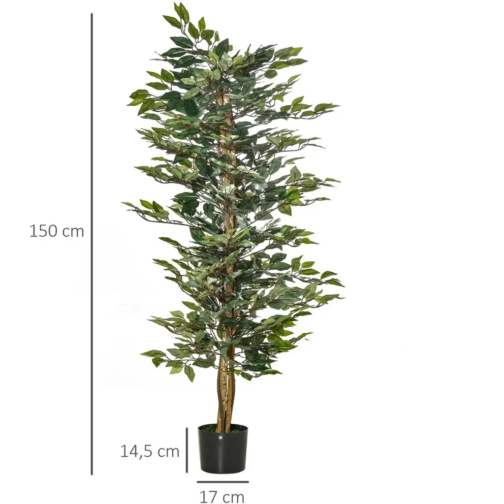 Cherry laurel, Prunus laurocerasus "Caucasica," for a 5-meter hedge, 60-80 cm tall, 7-liter pot, 10 plants per set