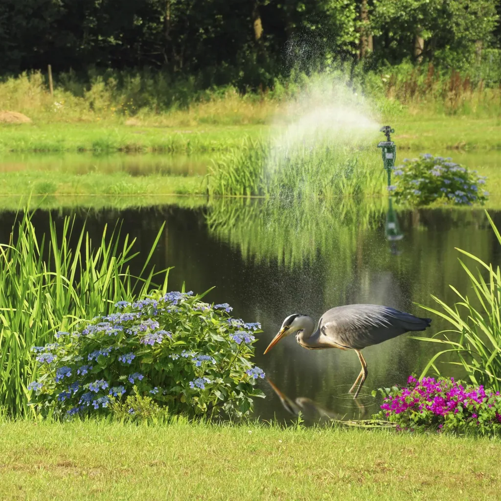 Solar water animal repellent