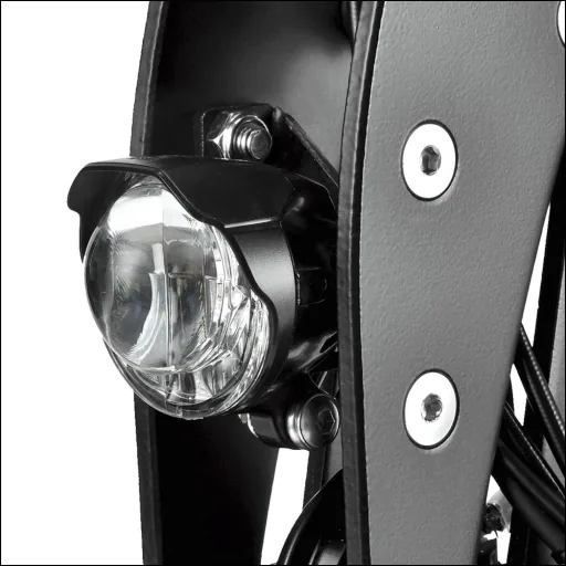 E-Roller "Evoking" Basic 45 km/h schwarz
