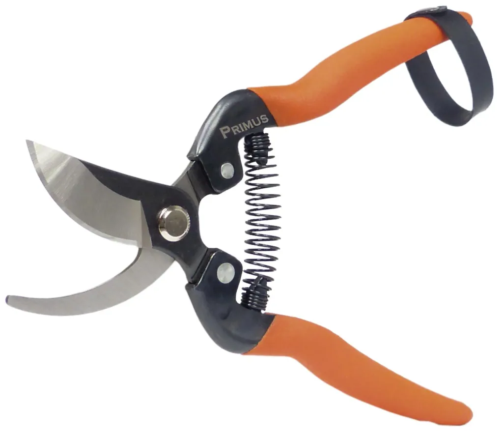Set of ratchet scissors, rose scissors, belt bag, 3-piece