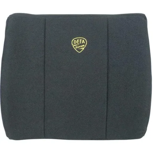 Back support