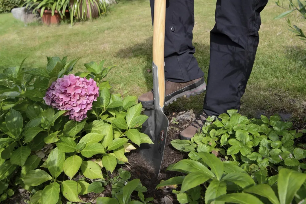 Spade, gardener's shape, size 2, polished, ash T-handle 85 cm