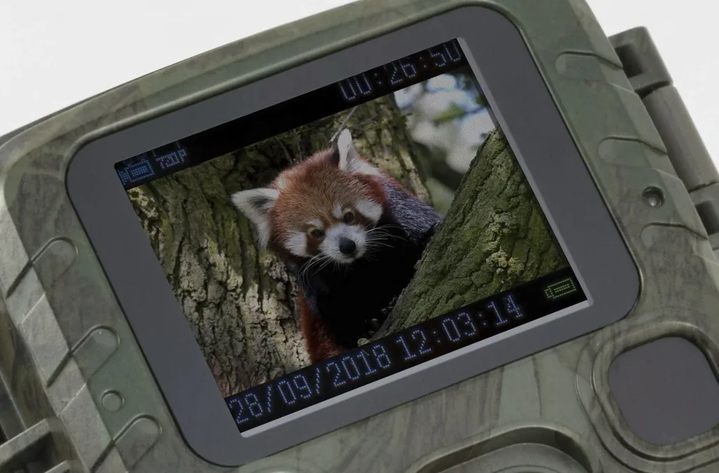 Mini wildlife camera Full HD video resolution with night vision