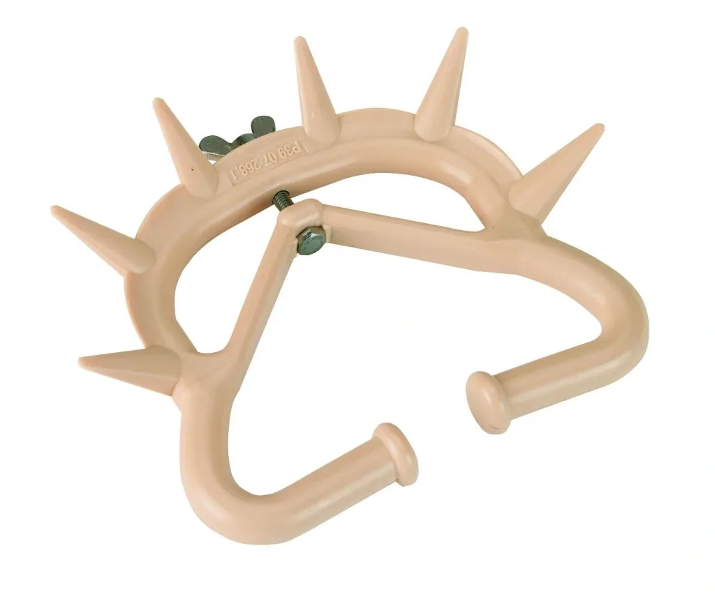 Cattle weaner, large