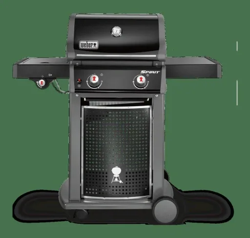 Gasgrill Spirit E-220 Classic