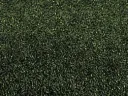 Grass mat dark green 120 x 60 cm