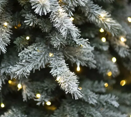 Christmas tree spruce frost 210 cm