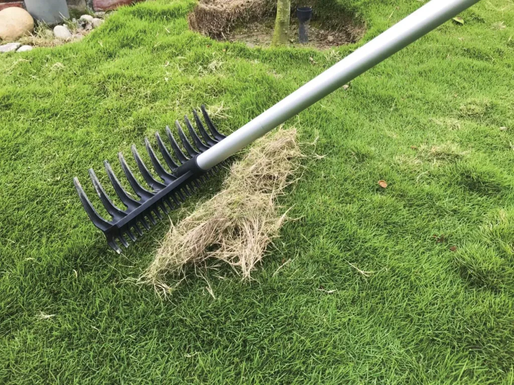 Garden rake 2-in-1 + telescopic handle