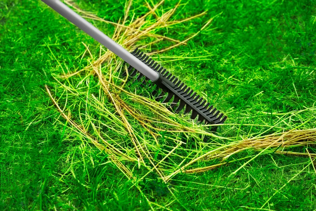 Garden rake 2-in-1 + telescopic handle