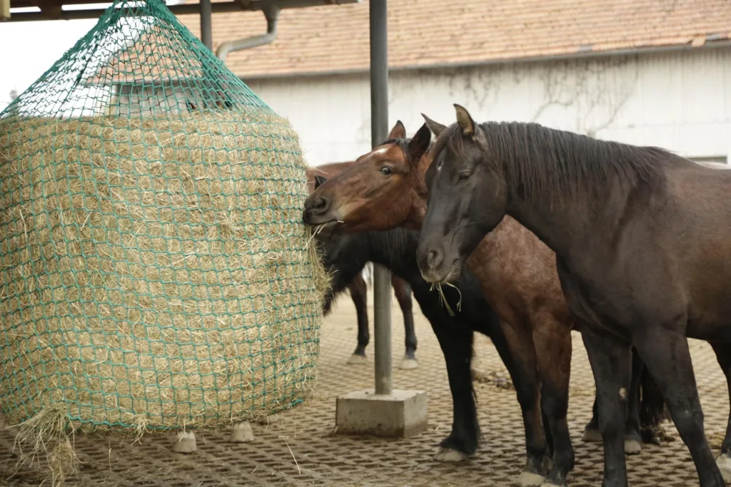 Hay net for round bales 150 x 180 cm for hanging