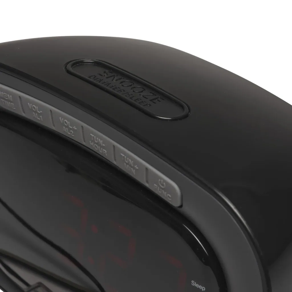 Radio alarm clock with dual timer