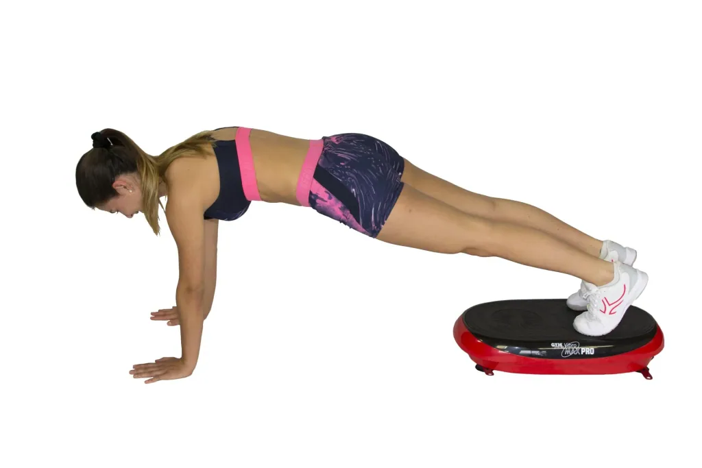 Vibromax Pro Training Platform