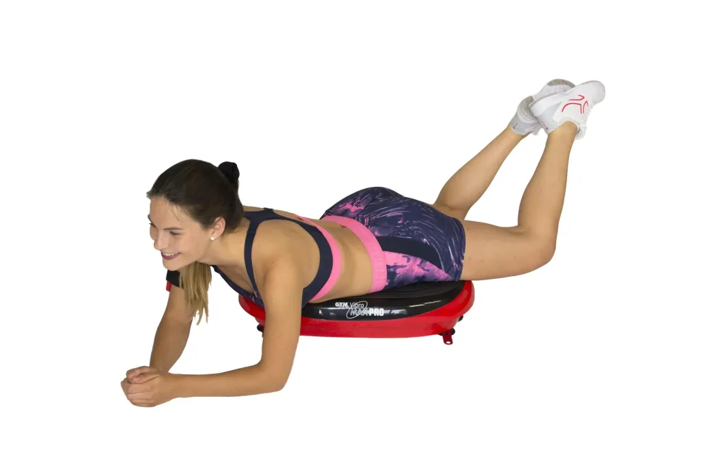 Vibromax Pro Training Platform