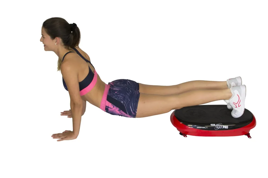 Vibromax Pro Training Platform