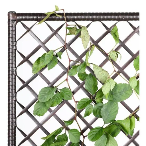 Polyrattan planter with trellis brown