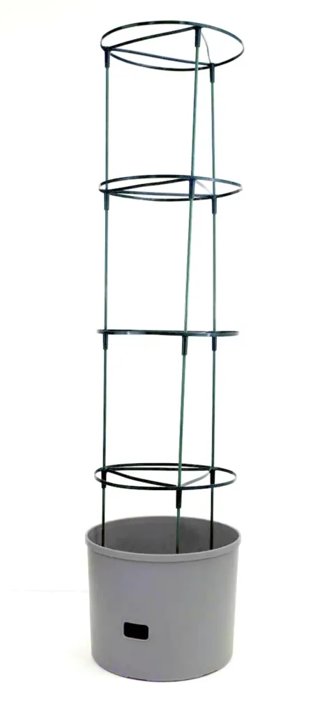 Plant tower "Maxitom Jumbo", anthracite in a value set with cover