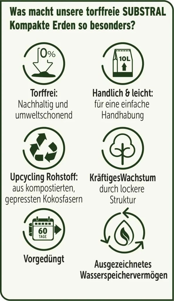Compact potting soil 10 liters