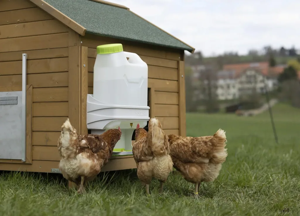 SmartCoop poultry drinker 10 liters