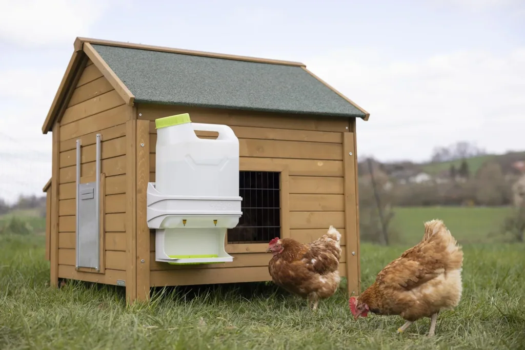 SmartCoop poultry drinker 10 liters