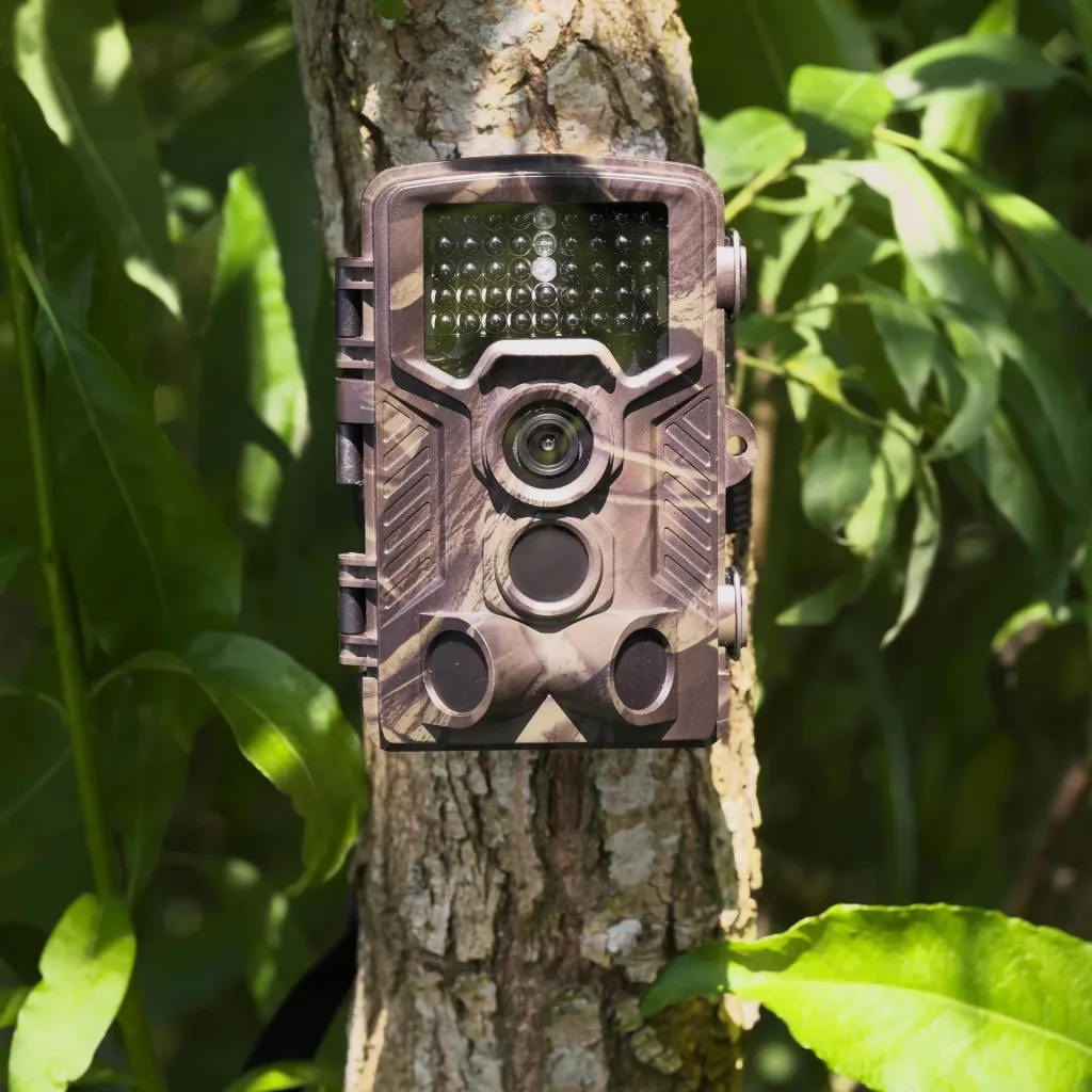 Wildlife / surveillance camera