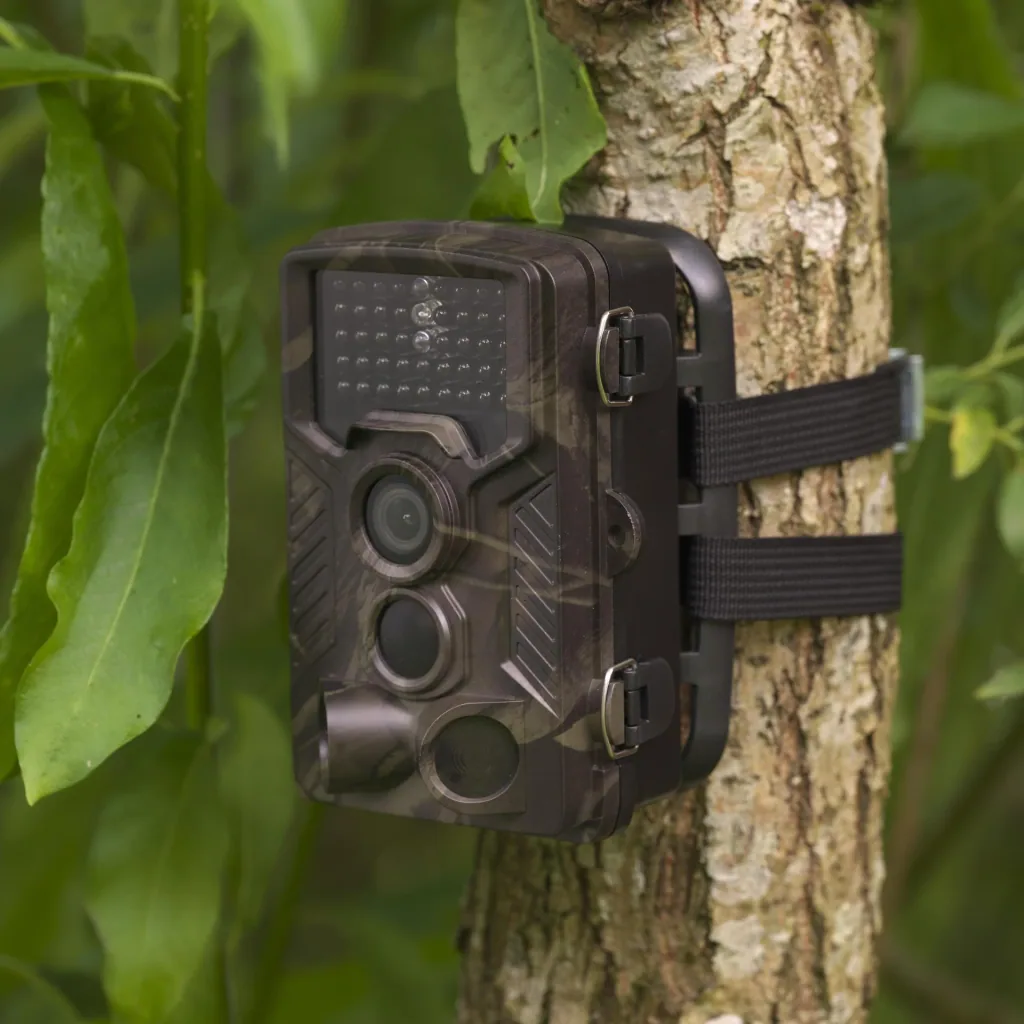 Wildlife / surveillance camera