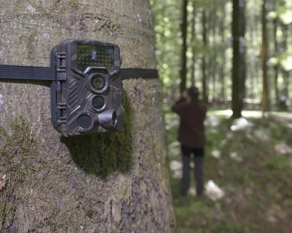 Wildlife / surveillance camera