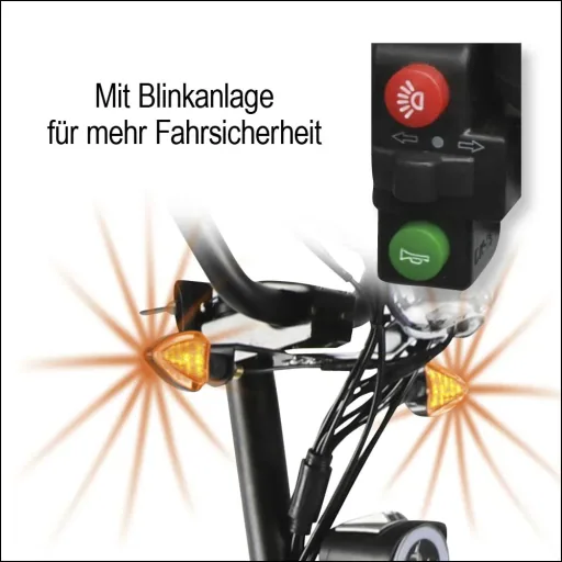 E-scooter "Camper" Safety 20 km/h including shopping basket, indicators and luggage case black