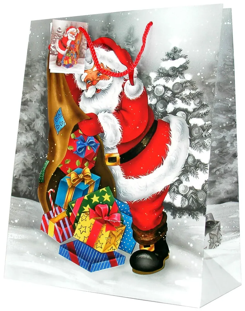 Gift bags "Santa Claus", 5 pieces