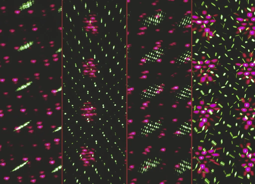 Moving laser light system Star Shower Motion with sensor