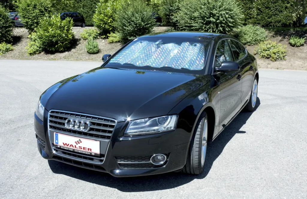 Front winter and sun protection Laser Design 130 x 60 cm with air chambers