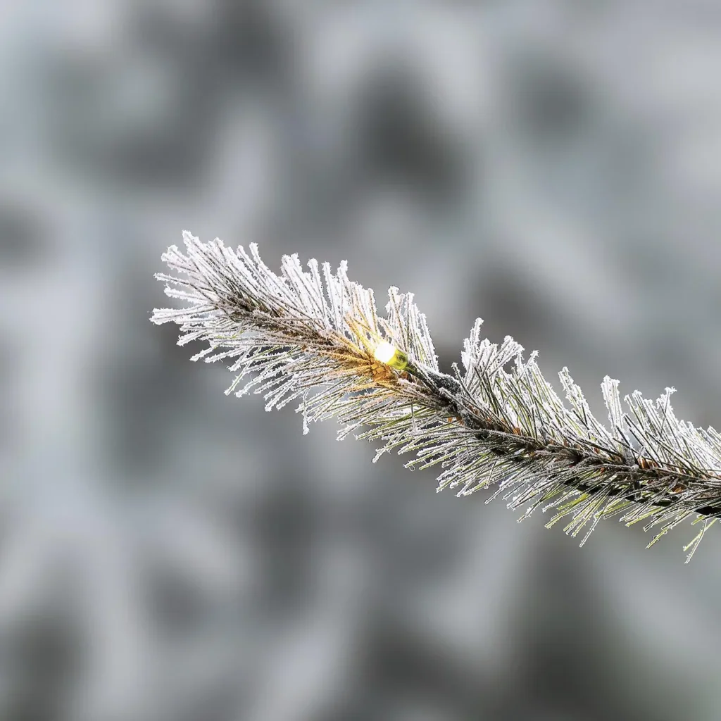 Christmas tree spruce frost 150 cm