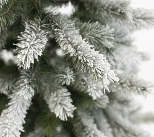 Christmas tree spruce frost 150 cm