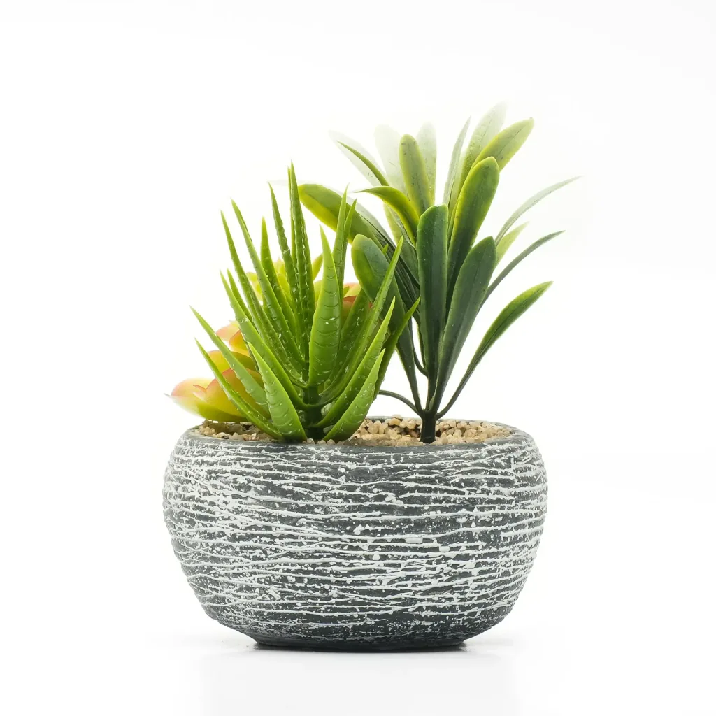Artificial flower succulents in concrete set of 2