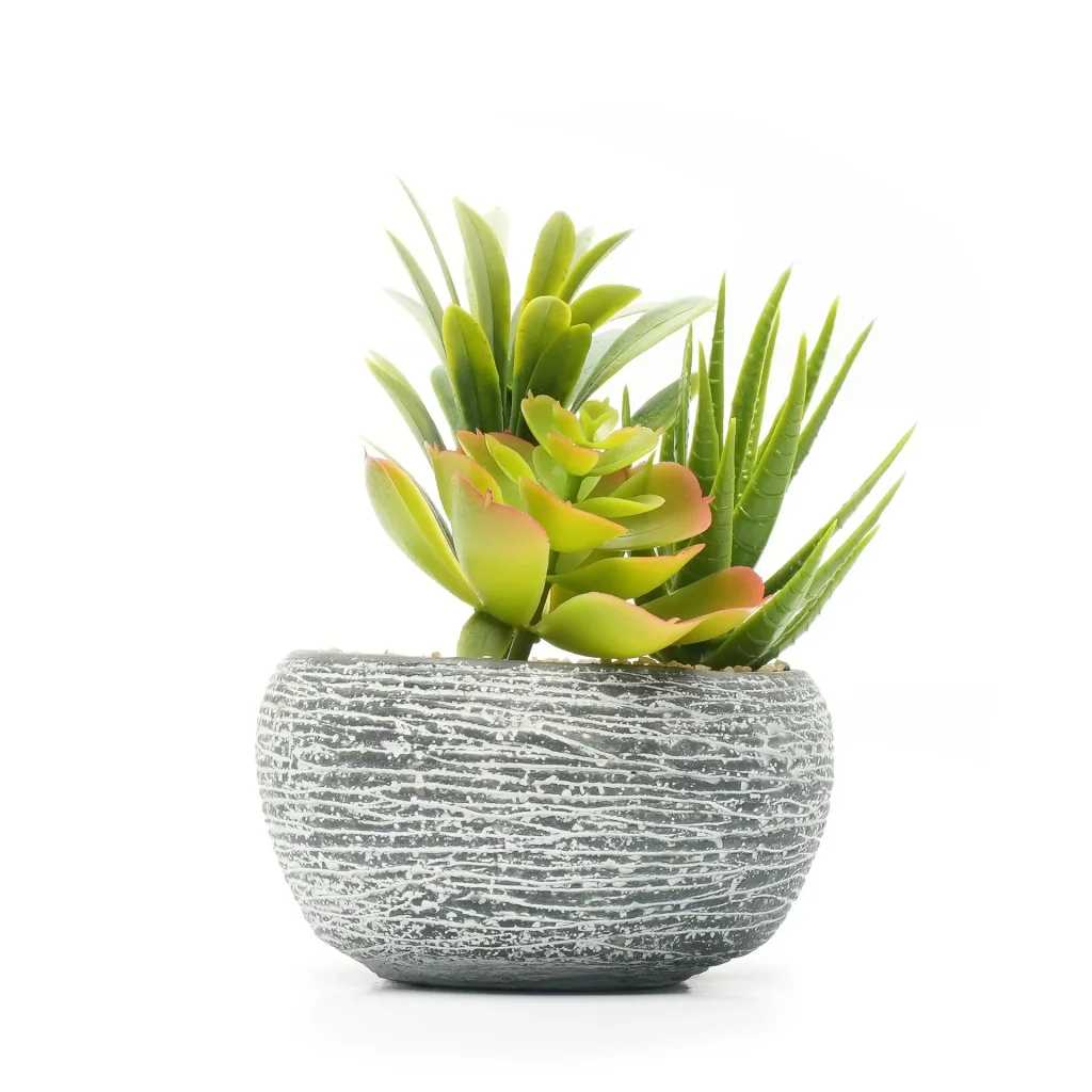 Artificial flower succulents in concrete set of 2