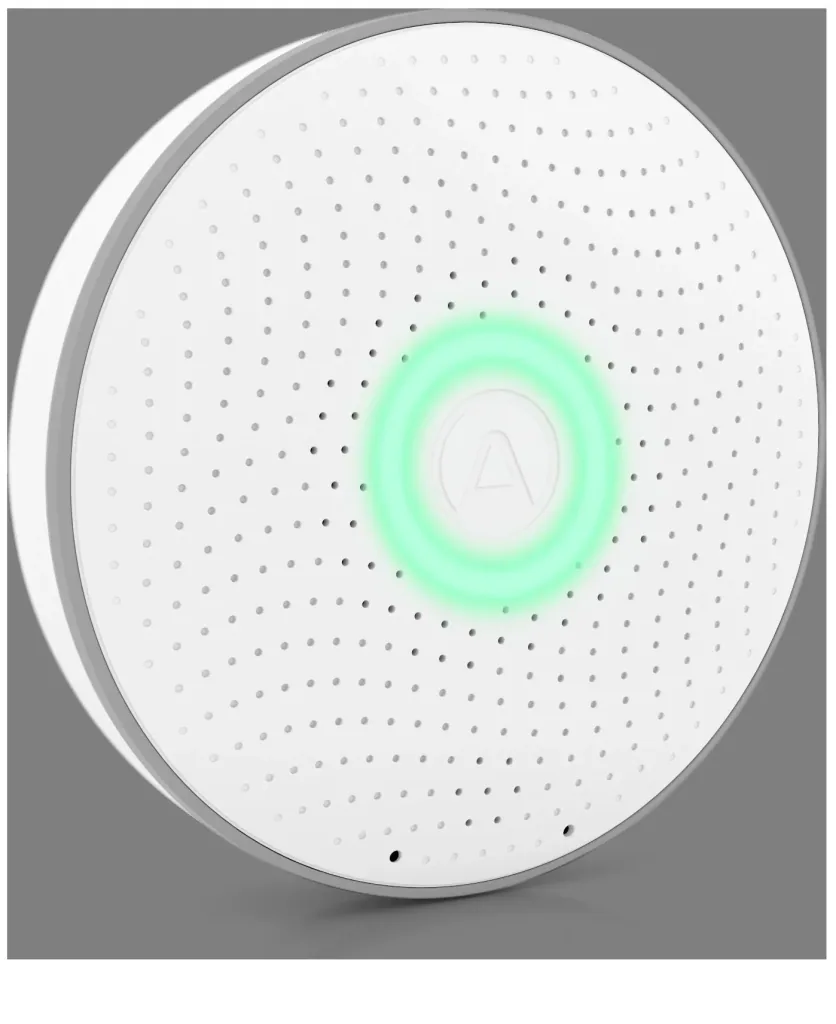 Wave intelligent radon monitor with APP