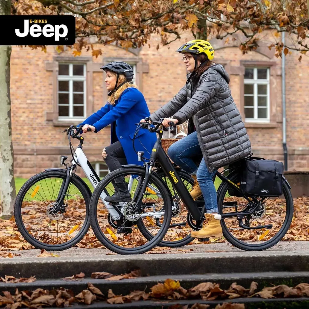 E-bikes double pannier bag