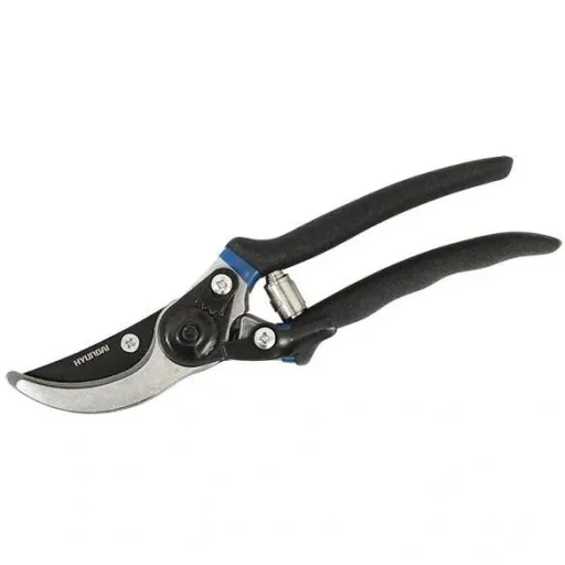 3-piece circumcision set