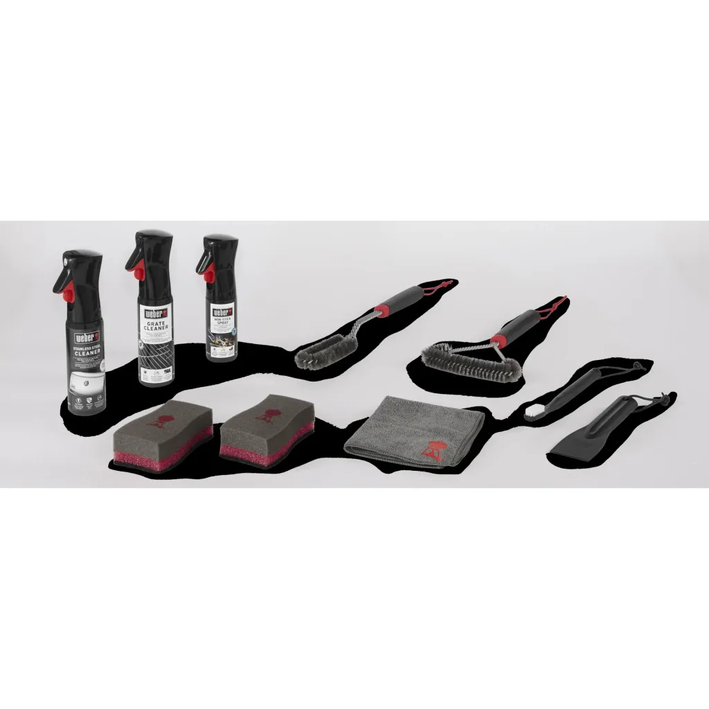 Cleaning kit for stainless steel gas grills