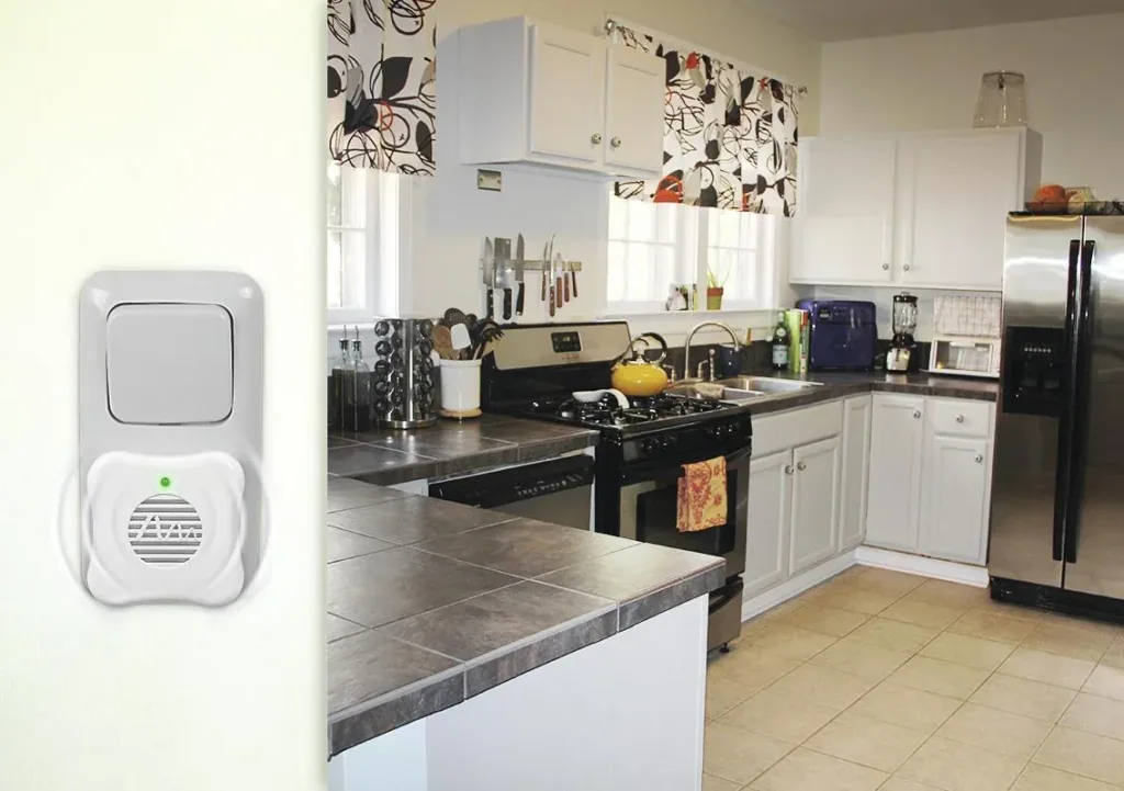 Silverfish repellent plug