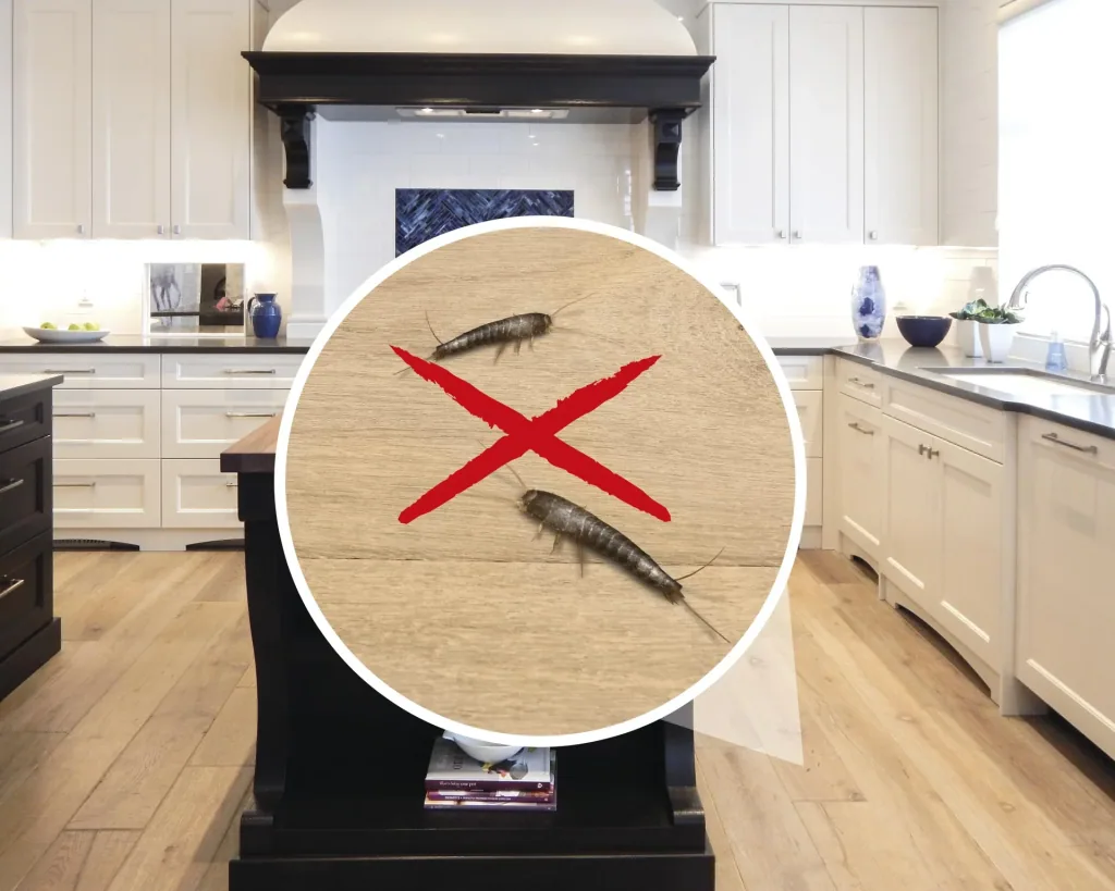 Silverfish repellent plug