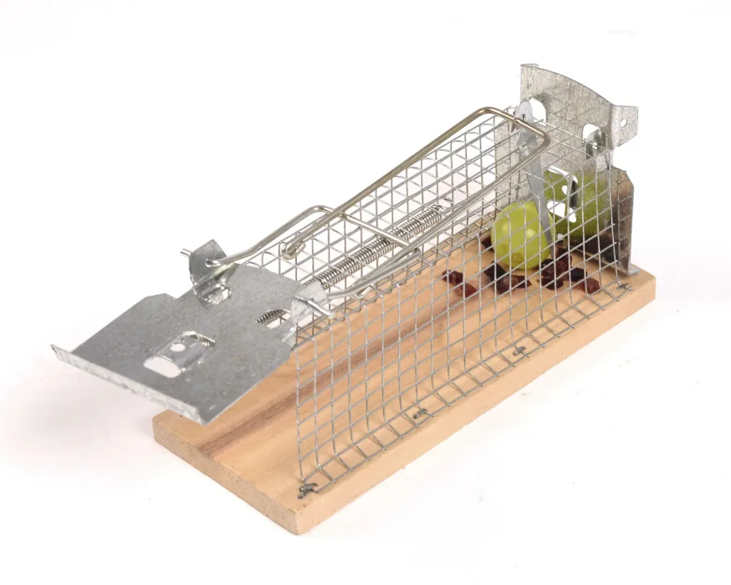 Mouse live trap cage